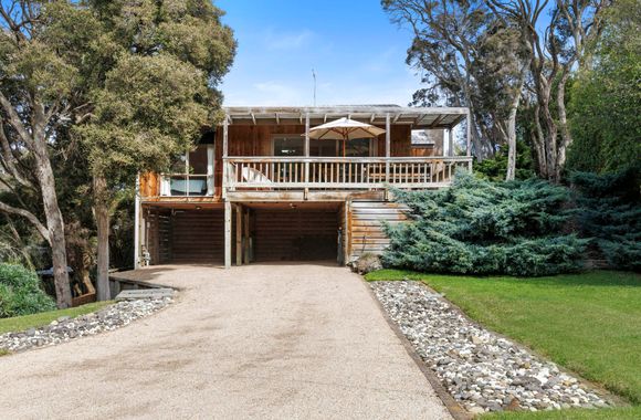 Coastal Sage - Blairgowrie