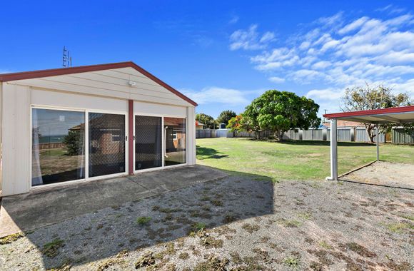 Kangaroos at the point