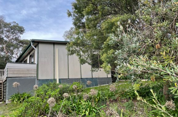 Holiday Across from the Park