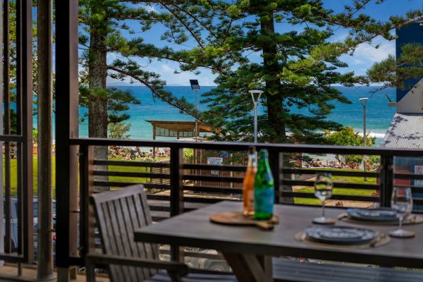 Deck view through the pines
