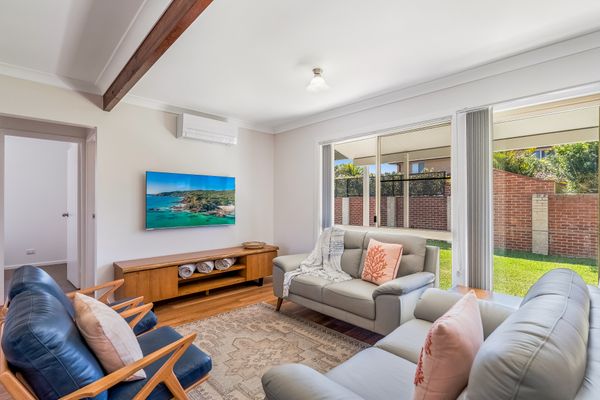 Banksia on Ocean