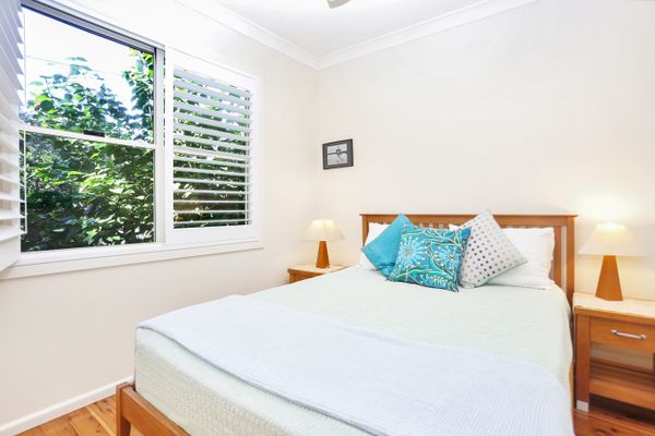 Wanda – Pet Friendly
