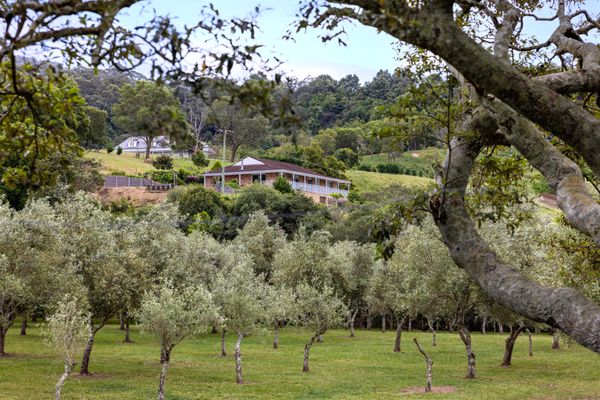 Olive Grove – Pet Friendly with Fireplace