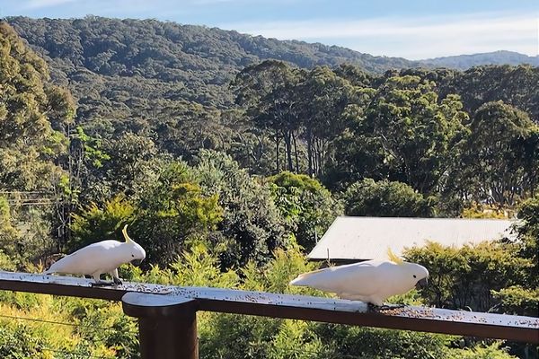 Carr Street Murramurang National Park