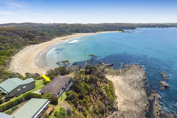 King of the World Rosedale