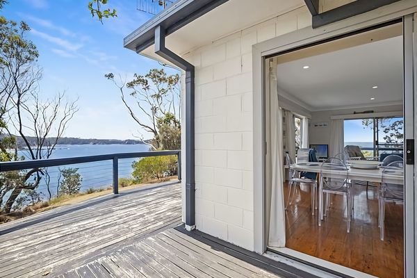 King of the World Rosedale