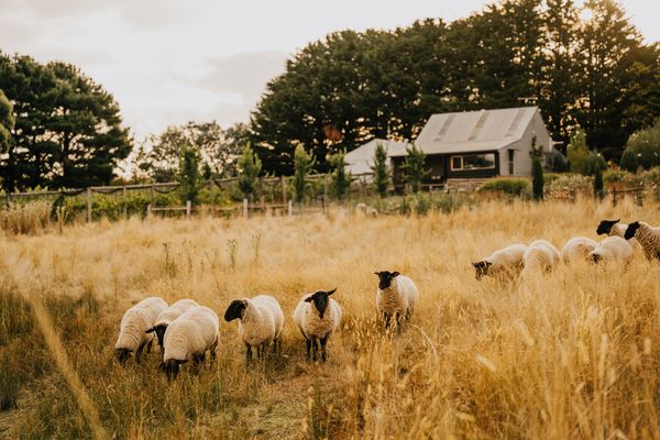 The Barn at Crofters Fold