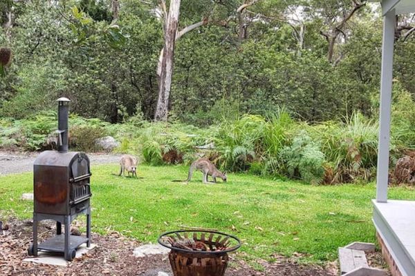 Wrights Beach Bungalow – WALKING DISTANCE TO THE WATER