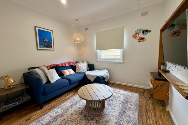 Dusky Whaler – Pet Friendly