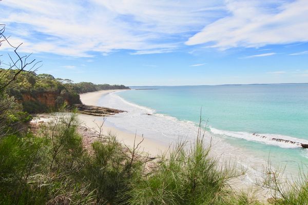 On Collingwood Beach – Downstairs Apartment – 50m FROM THE WATER