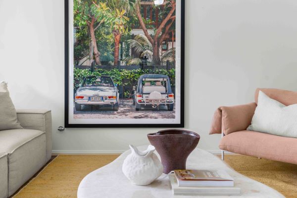 Cly5a – The Little Husky by Experience Jervis Bay