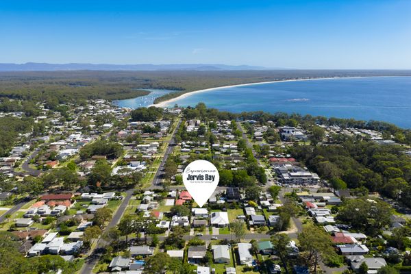 Cly5a – The Little Husky by Experience Jervis Bay