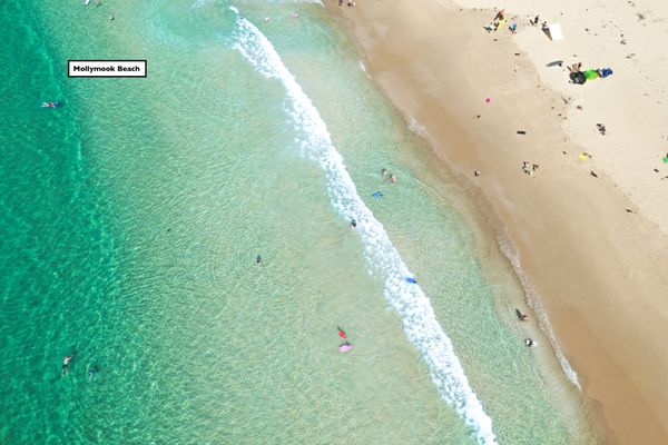 Family Friendly On Treetops