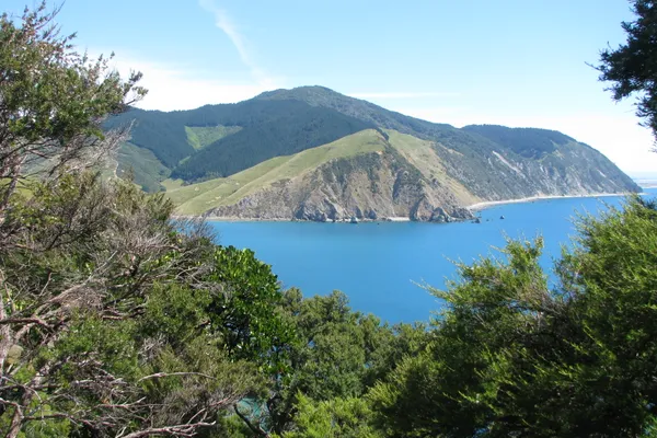 Rocky Point Hut Pepin Island