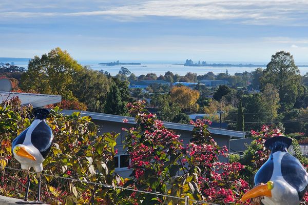 Family Fun on Queen St