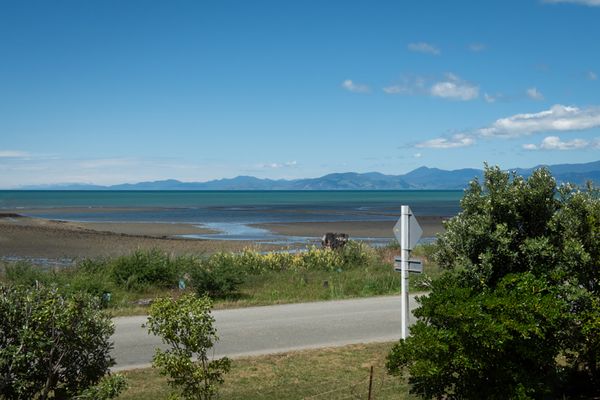 Helme Holiday Bottom Bach