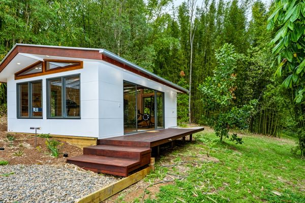 Bodhi Nature