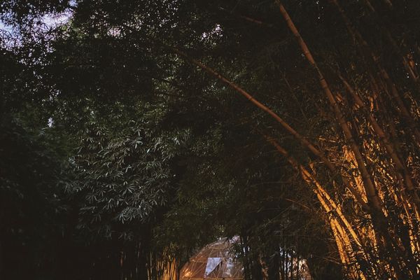 Soma Byron Bay