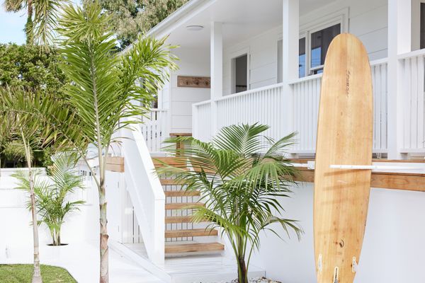 Picadilly Palms