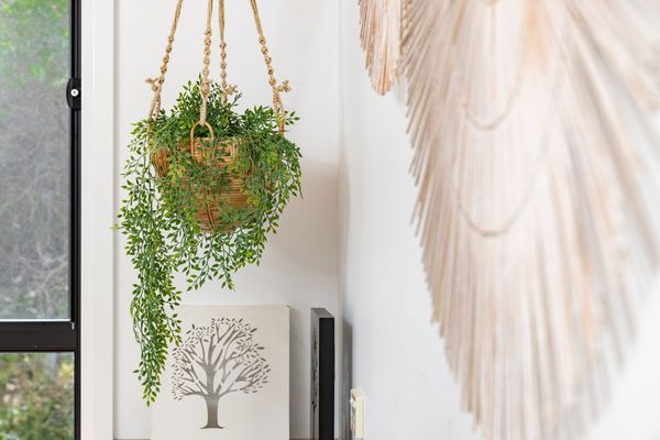 Hanging Plant 