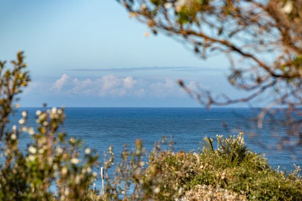 Ocean Horizon View