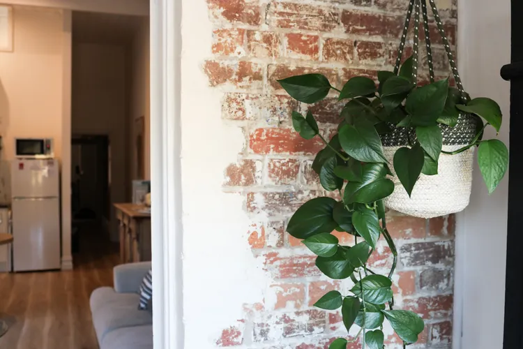 Clements Cottage on Main St. BARE bnb by Bare Body Beauty co.