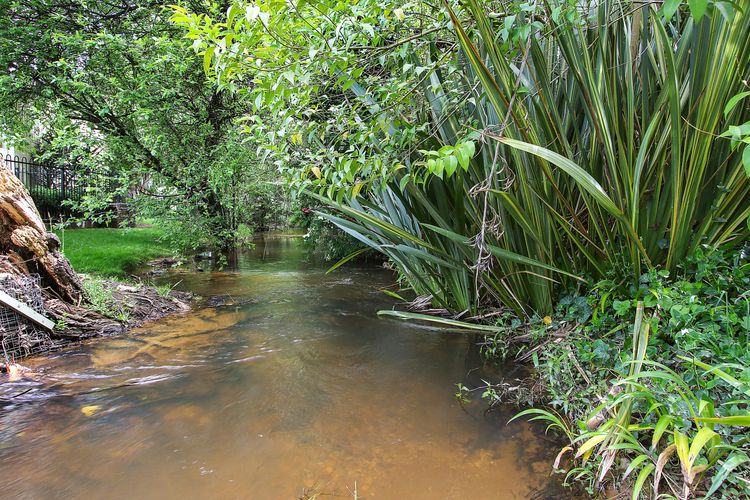 Spring Creek Cottage