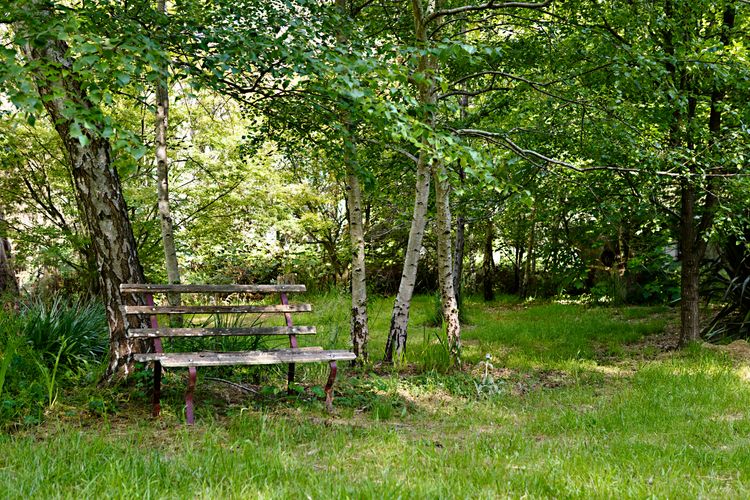 Blue Gum Church – Artistic Retreat