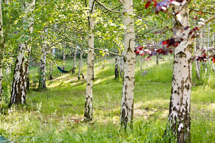 Blue Gum Church – Artistic Retreat