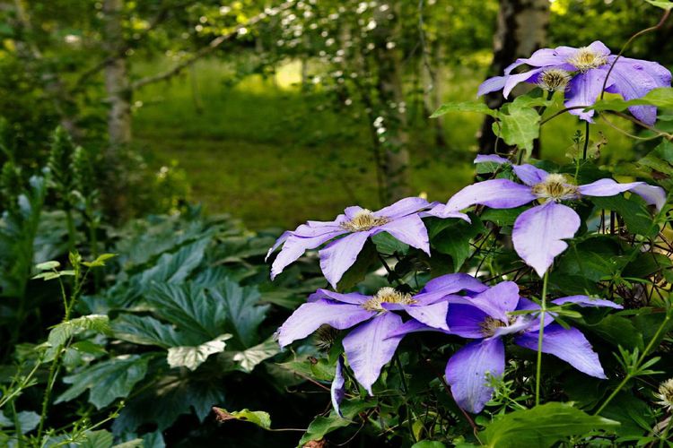 Blue Gum Church – Artistic Retreat