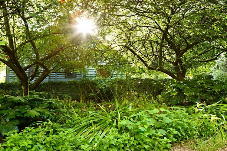 Blue Gum Church – Artistic Retreat