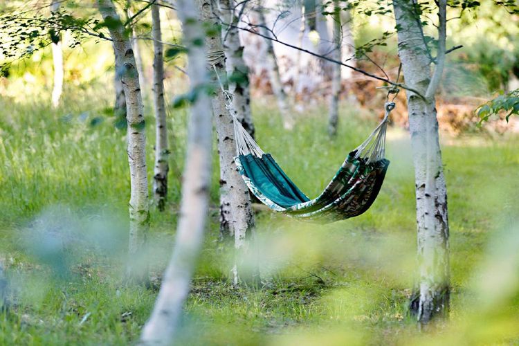 Blue Gum Church – Artistic Retreat