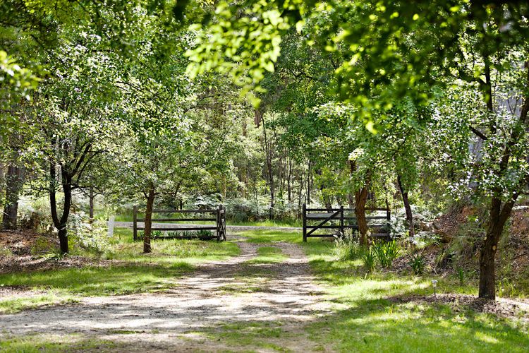 Blue Gum Church – Artistic Retreat