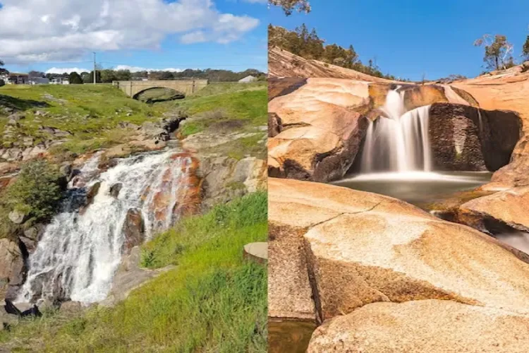 The Beechworth Conservatory