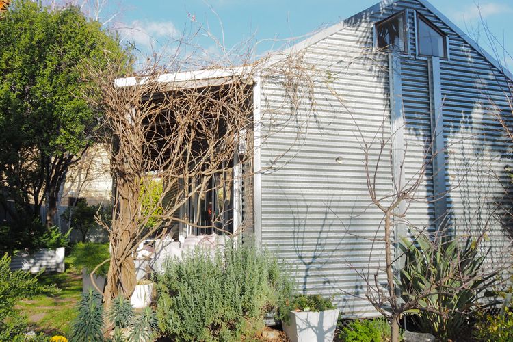 Lemon Tree Studio