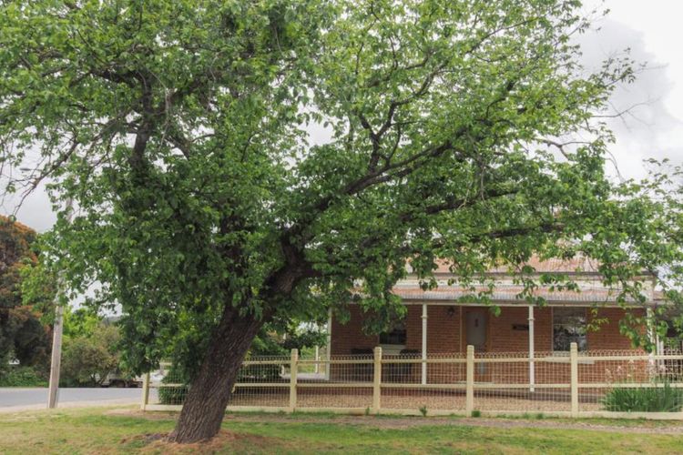 View from the street (Cottage is over the road from the Old Hosptial Facade)