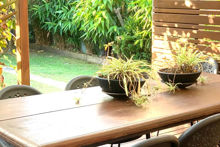 Eden by the Bay, 98 Sandy Point Road