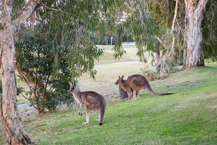 Horizons Fairway Views Townhouse 108