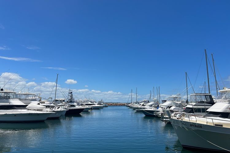 Foreshore Paradise Nelson Bay