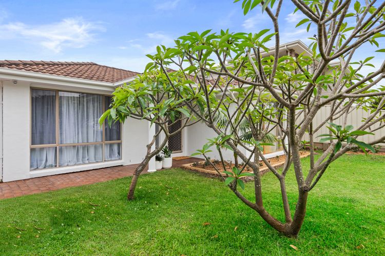 Ohana at the Bay, 30 Pacific Avenue