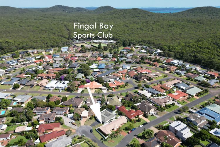 Fingal Palms