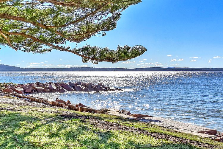 Waterfront Reflections