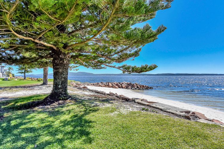 Waterfront Reflections