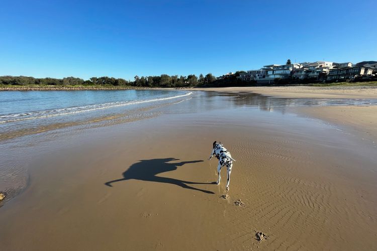Boat Harbour Beach House