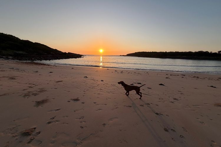 Boat Harbour Beach House