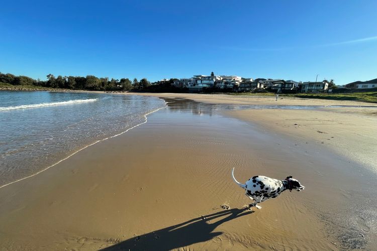 Boat Harbour Beach House