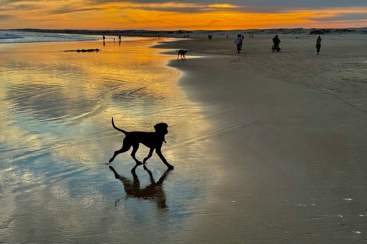 Boat Harbour Beach House