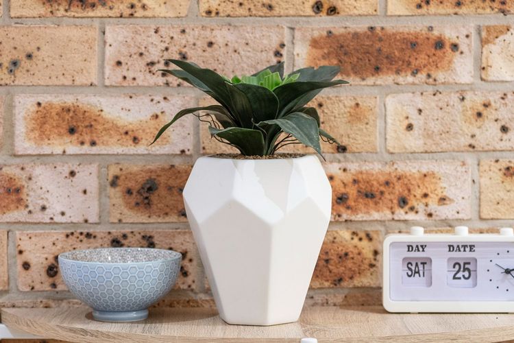 Nelson Bay Family Retreat