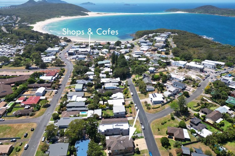 Salt and Paws @ Fingal Bay