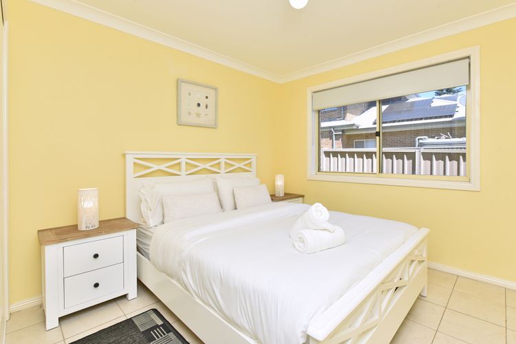 Salt and Paws @ Fingal Bay